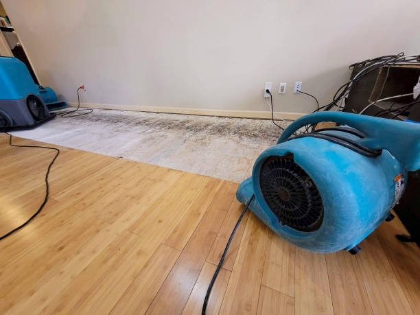 Professional Basement Flood Cleanup technician working in Lynnville, TN